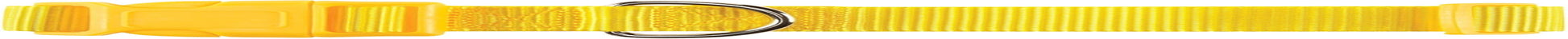 ⅝" Wide Nylon Dog Collar, Fits Necks 10" to 16", Yellow