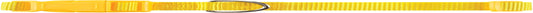 ⅝" Wide Nylon Dog Collar, Fits Necks 10" to 16", Yellow