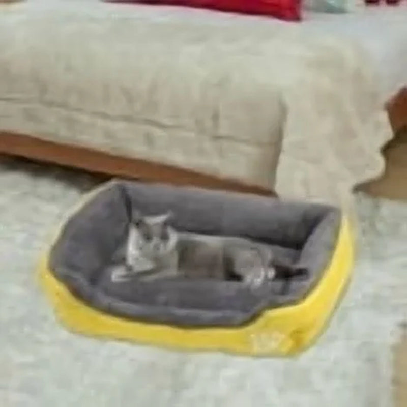 Colchón Rectangular Para Perro Y Gato Beds, Tapetes Lavables Para Habitación, Suave Y Cálido Para Invierno, Cama De Felpa Para Dormir Para Perro Pequeño Gatito, Fondo Antideslizante E Impermeable