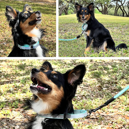 Camouflage Green Reflective Martingale Dog Collar, Medium